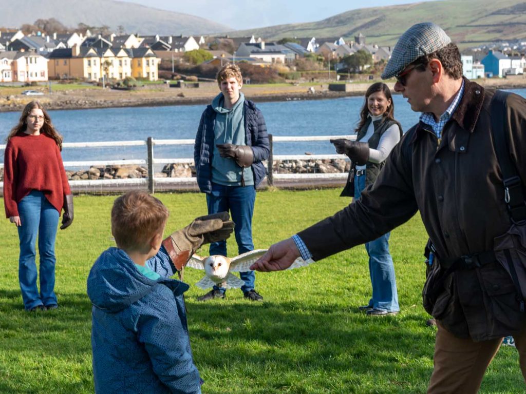 An owl coming in for landing on a young boys hand