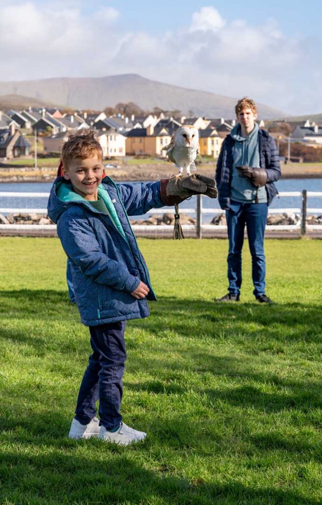 A young boy holding an owl on the grass