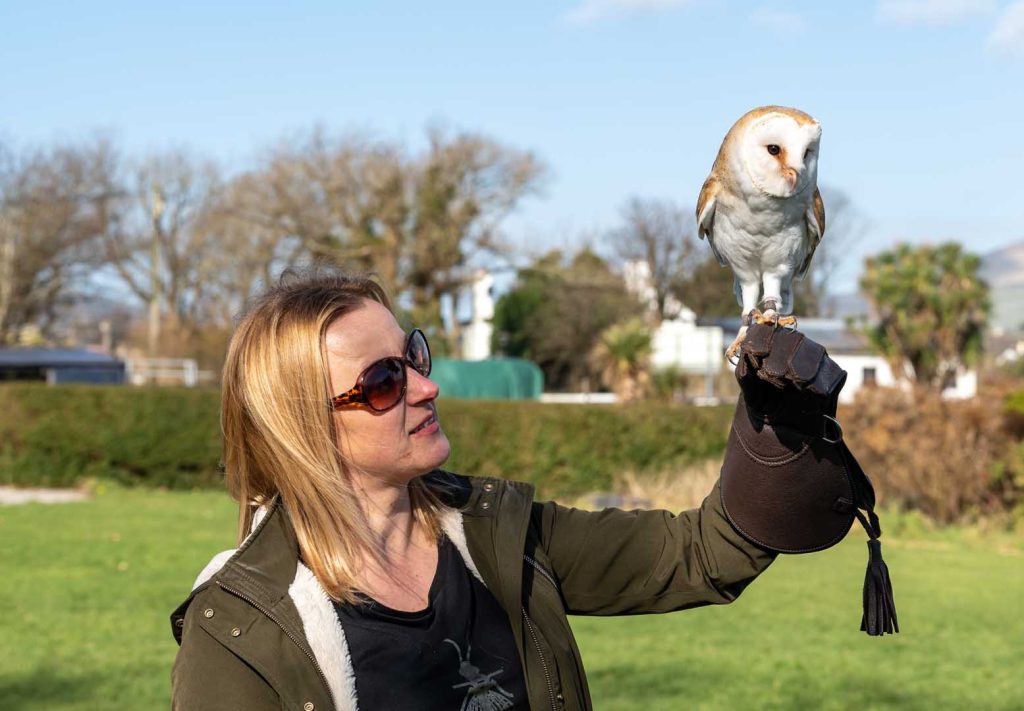 A lady holding an owl on a gloved hand