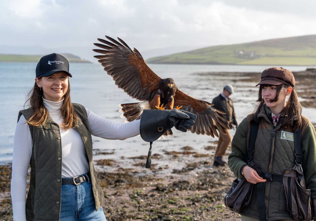 An owl landing on a visitors hand near the bay