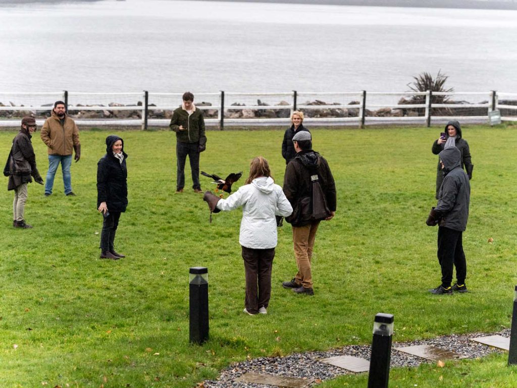 A group in a circle with a bird in the middle