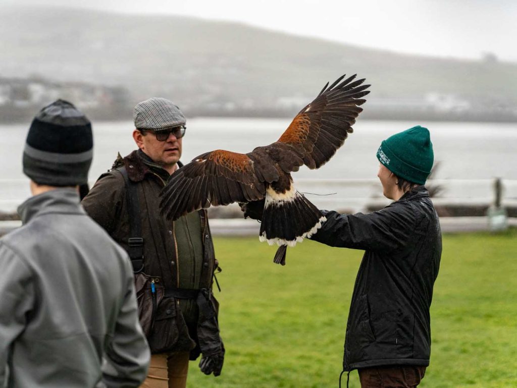 A bird sitting on a visitors hand showing its wingspan