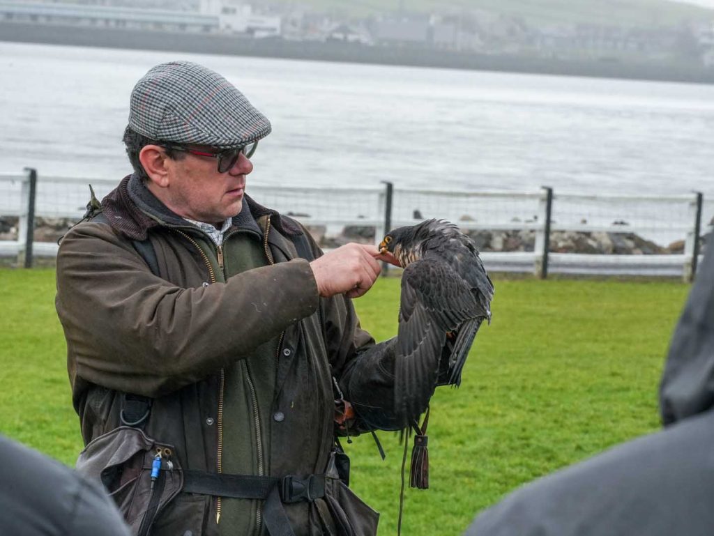 Feeding a bird on gloved hand