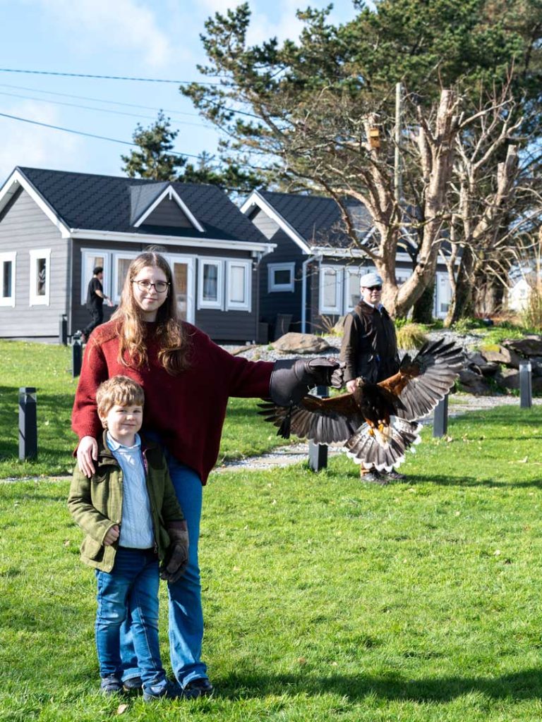 A young girl with her brother and a falcon in the distance coming in for landing
