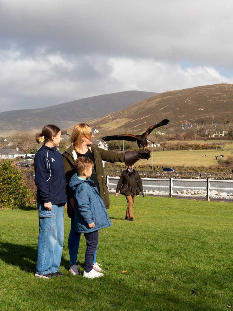 A falcon taking off from a mothers hand
