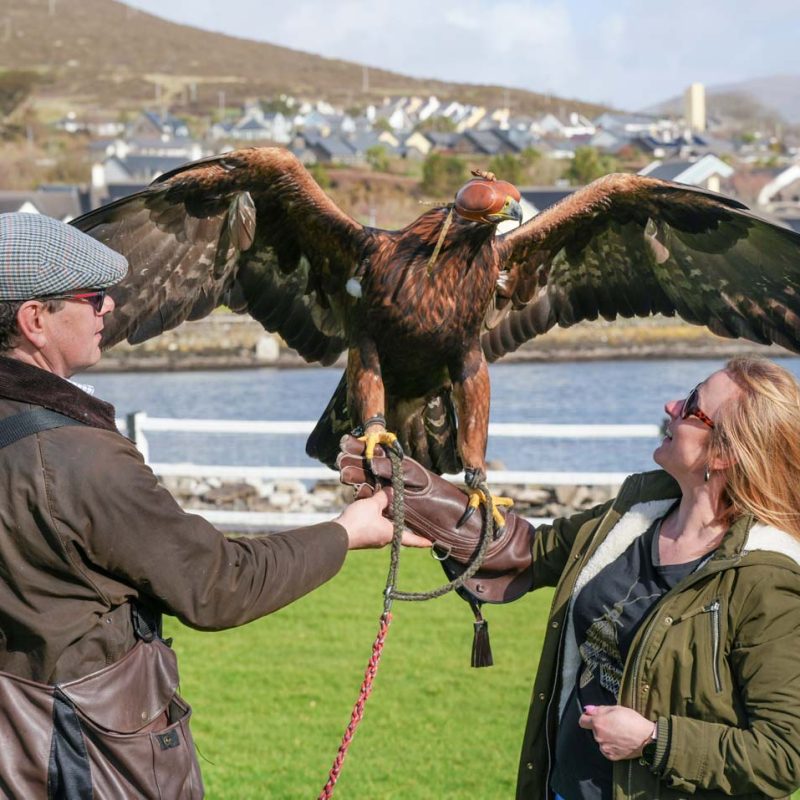 Helping a mother hold a bird that is spreading its wings